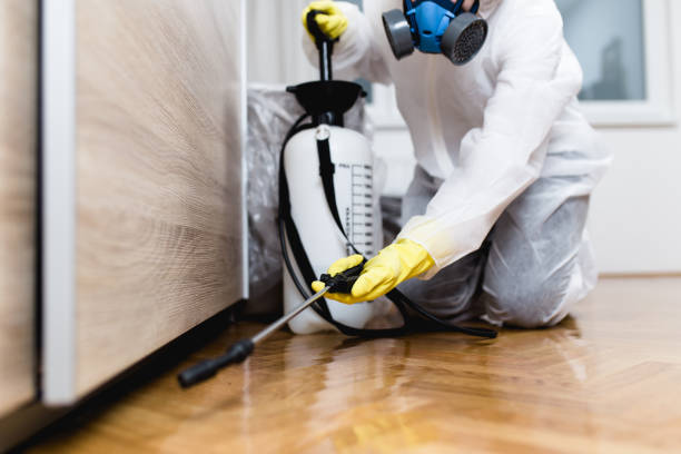 Pest Prevention Services in Cudjoe Key, FL
