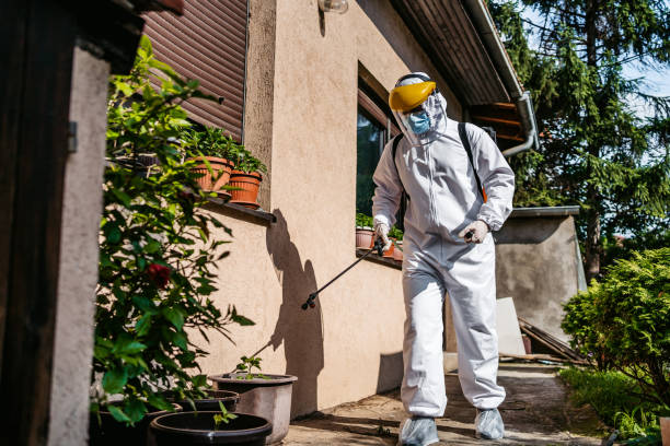 Best Cockroach Control Services  in Cudjoe Key, FL