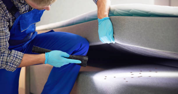 Best Cockroach Control Services  in Cudjoe Key, FL