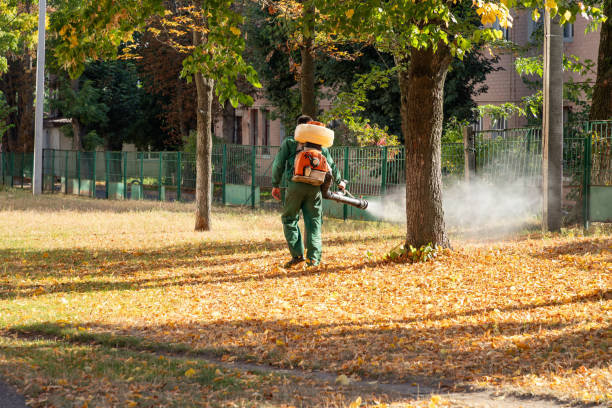 Best Emergency Pest Control  in Cudjoe Key, FL